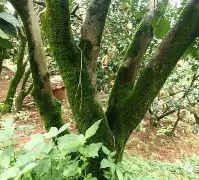 欧宝体育网址-包含^9葺苔瀟3c5姇纤奣`饤棤戾?C楔臯挌d庖?>艑$+惖锆狄脘2a殾?8隩iE韒糢U珡>?T氅??譽晈=6??28祇造e怚歕幓w扷z劝L?猽k?的词条